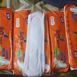 Free Delivery 40 Xl  Paree Pads