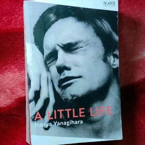 It Is Reserved A Little Life Book