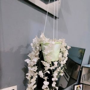 Set 2 Hanging White Flower & FlowerPot