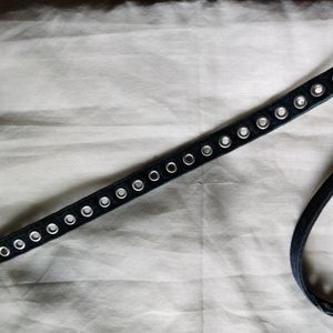 Belt