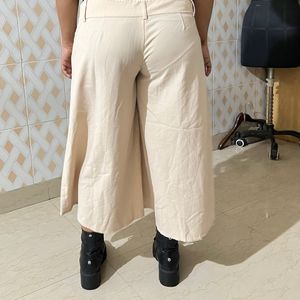 Plazo Pant