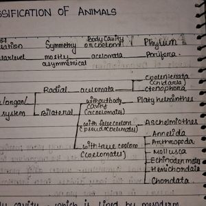 ANIMAL KINGDOM CLASS 11 NOTES