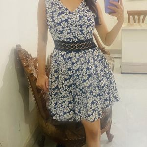 Skater Printer Dress For Woman