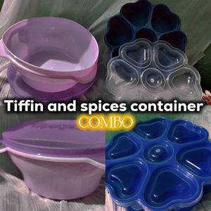 Tiffin And Spices Large Container