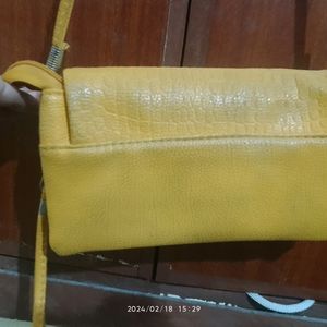 Mustard Color Purse