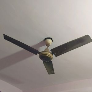 1200 Mm Ceiling Fans Brown Cream Colour