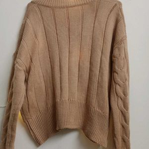 Brown Sweater