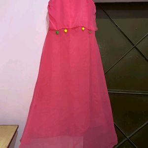 Pink Flared Gown