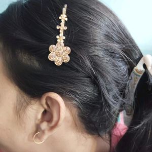 Earing And Hair Clip