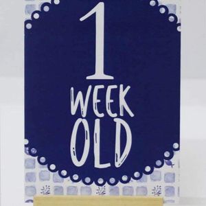 Baby Monthly Milestone Card, Record 0-12 Months.