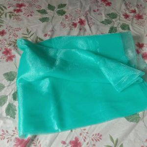 Beautiful Sea Green Net Saree