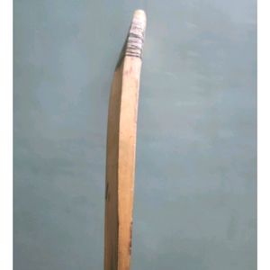 Willow Cricket Bat