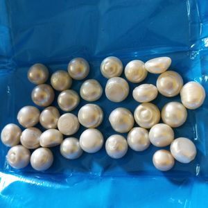 Real pearl 200 Rs For One Piece