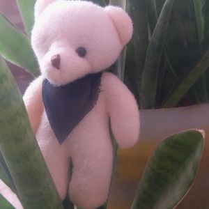 Small Teddy 🤩