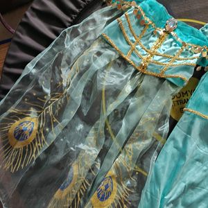 Jasmine Princess Dress 4-6 Years Old