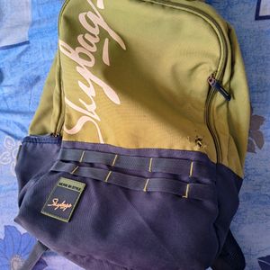 Skybags Backpack