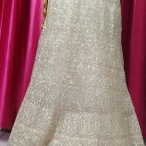 Lehenga Choli Limited Time