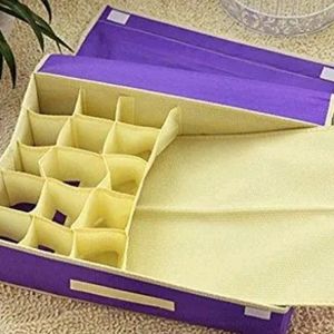 Lingerie Storage organizer