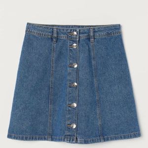 H&M A Line Skirt