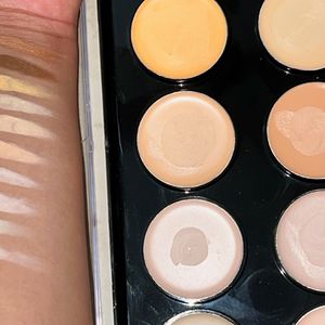 Ultimate Concealer palattee