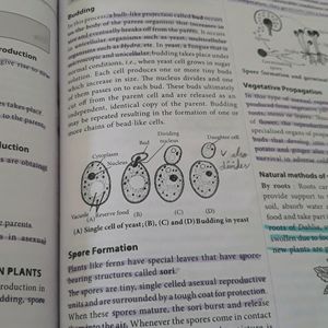 Class 7 Science Olympiad Prep Guide