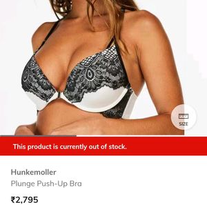 Plunge Pushup Padded Bra 34C