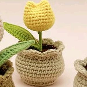 Mini Tulip Pot