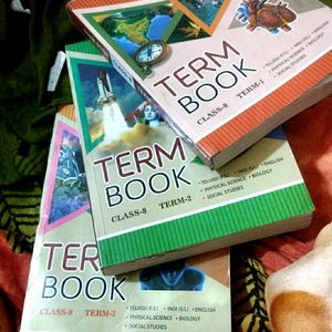 8th Class Term Books (Totally New Unused