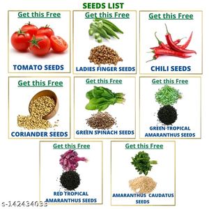 Combo Of 8 Vegetables Seeds