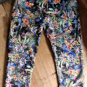 Embroidered colorful jeggings