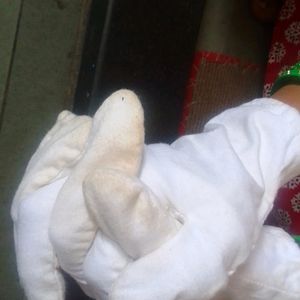 White Cotton Hand Gloves