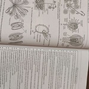 Biology Book