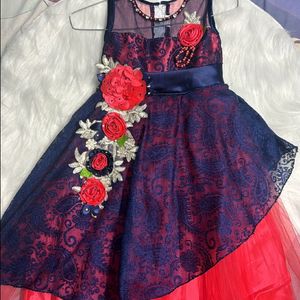 Brand New Girl Party Dress