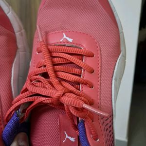 Branded PUMA Shoes In New Condition