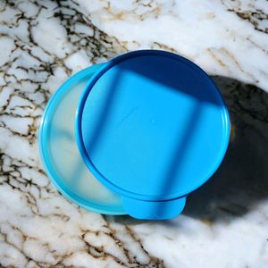 Tupperware Wonderlier Bowl