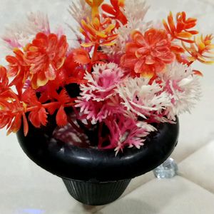 Beautiful Flowers Pot