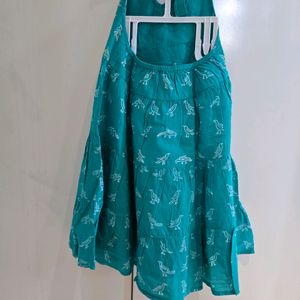 Fabindia Frock