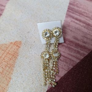 Silver Stone Earring With Golden Body