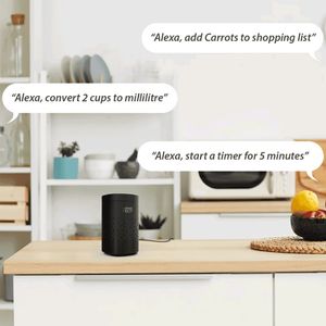 Zeb Smart Bot Alexa