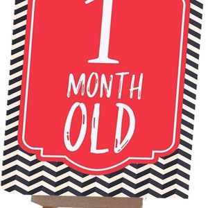 Baby Monthly Milestone Card, Record 0-12 Months.