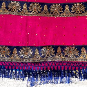 Wedding Party Wear Sequin Heavy Border Saree