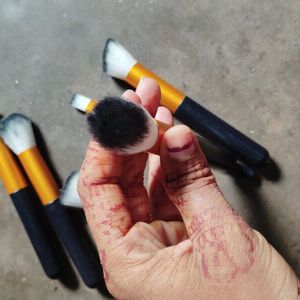 Kabuki Brush Set