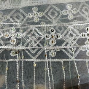 White Net Work Dupatta