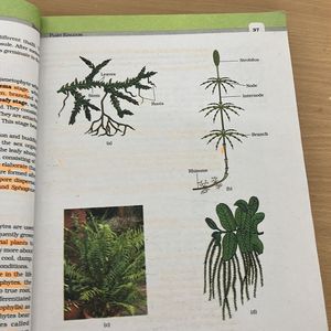 NCERT Class XI Biology textbook