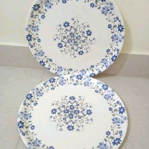 Melamine Ware 2 Dinner Plates