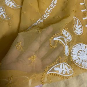 Lucknowi Chikankari Saree