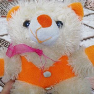 Teddy Bear Soft Toy