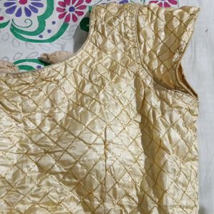 Golden Back Designer Blouse