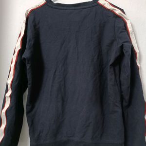 Champion Brand Blue Sweater