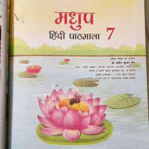 COMBO Hindi Books For Class 7